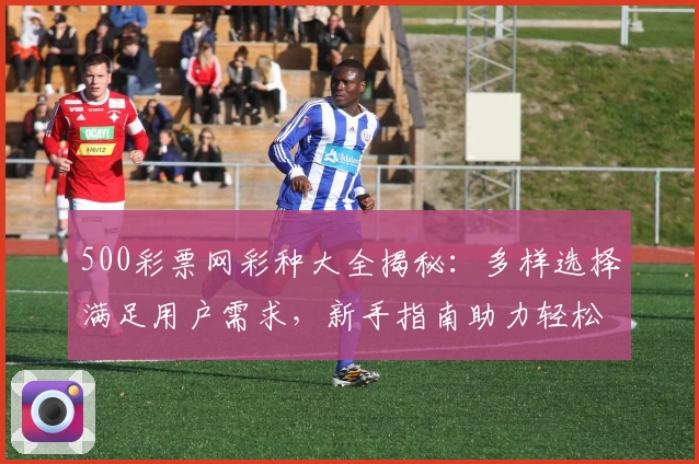 500彩票网彩种大全揭秘：多样选择满足用户需求，新手指南助力轻松玩转