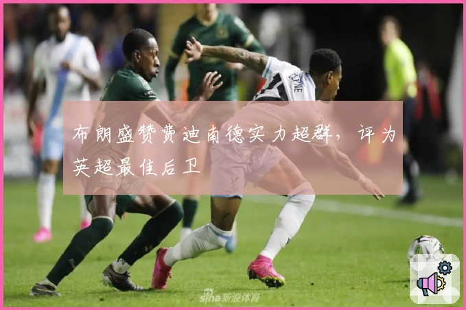 布朗盛赞费迪南德实力超群，评为英超最佳后卫