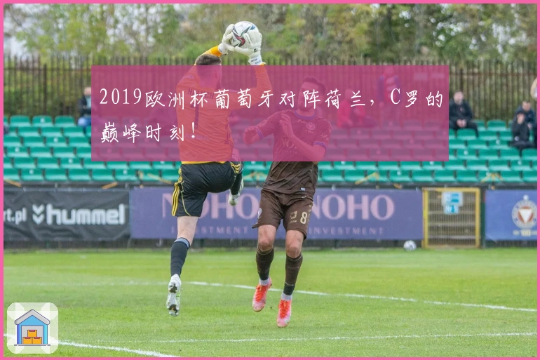 2019欧洲杯葡萄牙对阵荷兰，C罗的巅峰时刻！